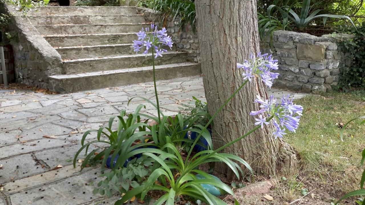 אימפריה Deliziosa Casetta Con Dehor E Giardino Immersa Nel Verde Ligure מראה חיצוני תמונה